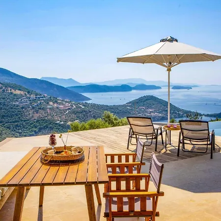 Lavender Bloom By Villa